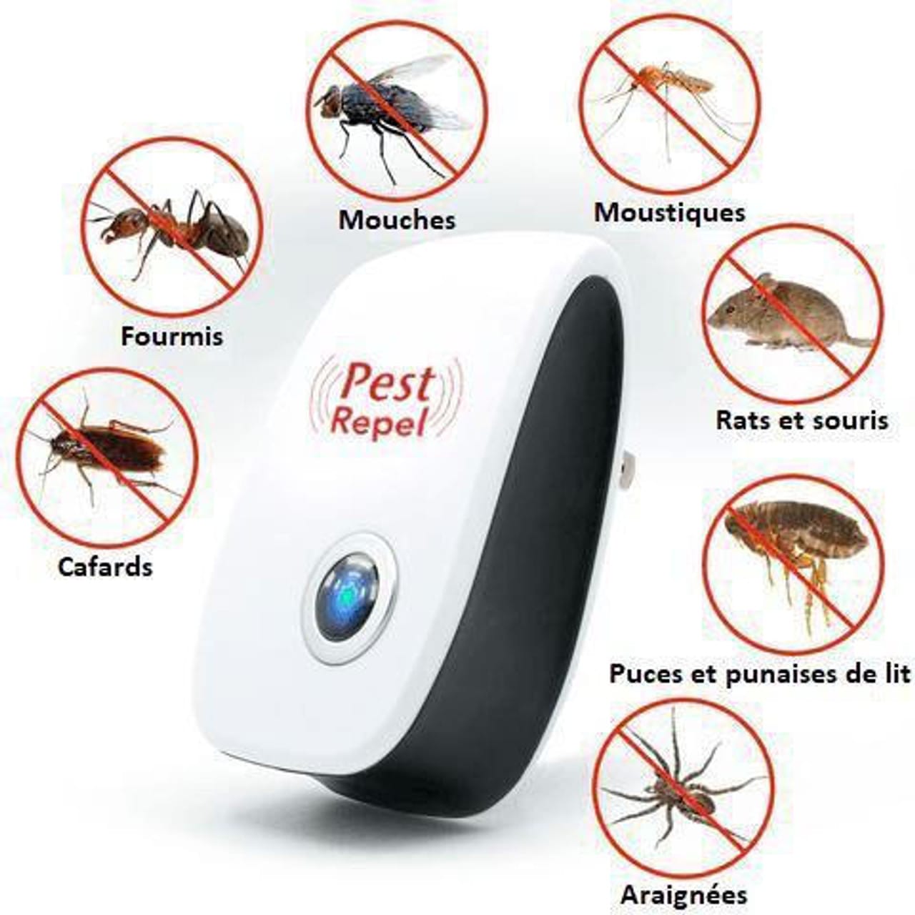 Appareil insectes et rongeurs